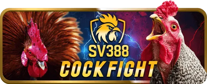 Lợi nhuận hấp dẫn từ BJ88VN